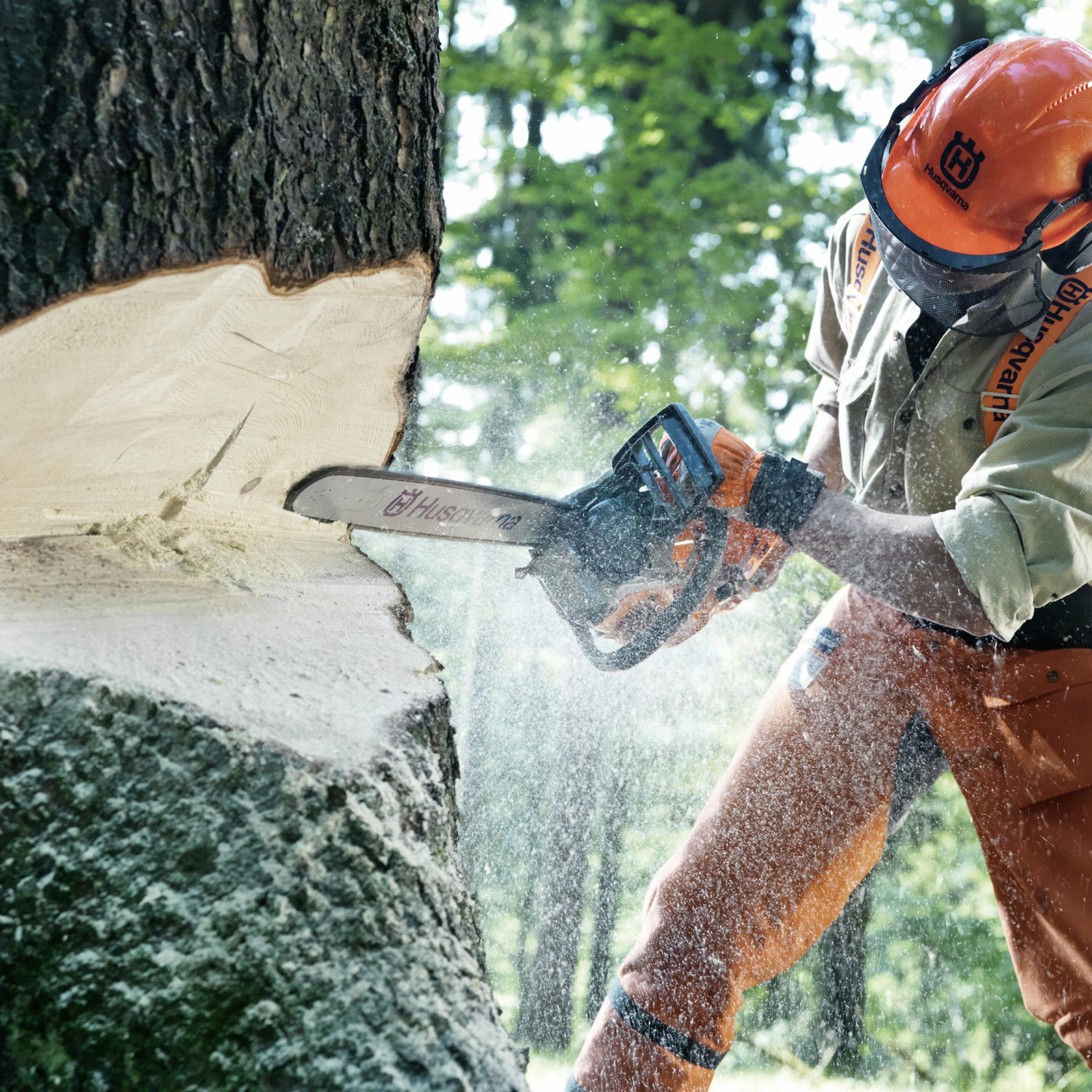 HD Husqvarna 562 XP Chainsaw 20